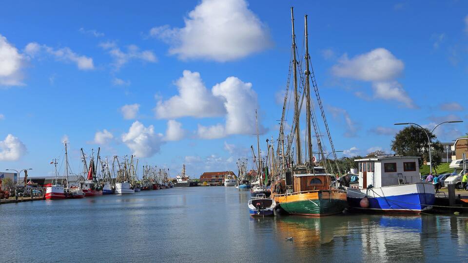 A harbor with numerous fishing boats docked under a clear blue sky.
