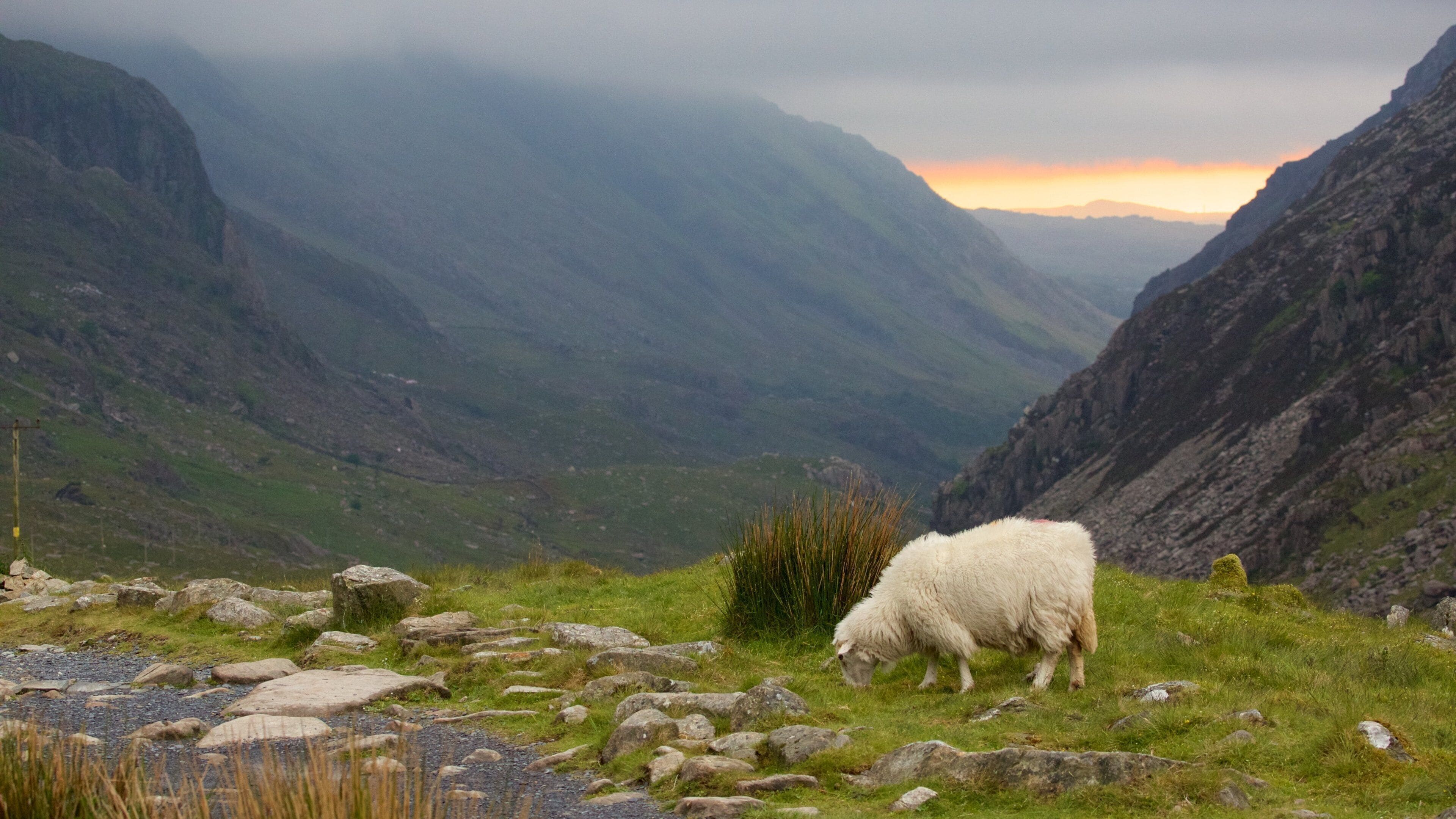 Snowdonia nasjonalpark fasiliteter samt fjell, tåke og landdyr