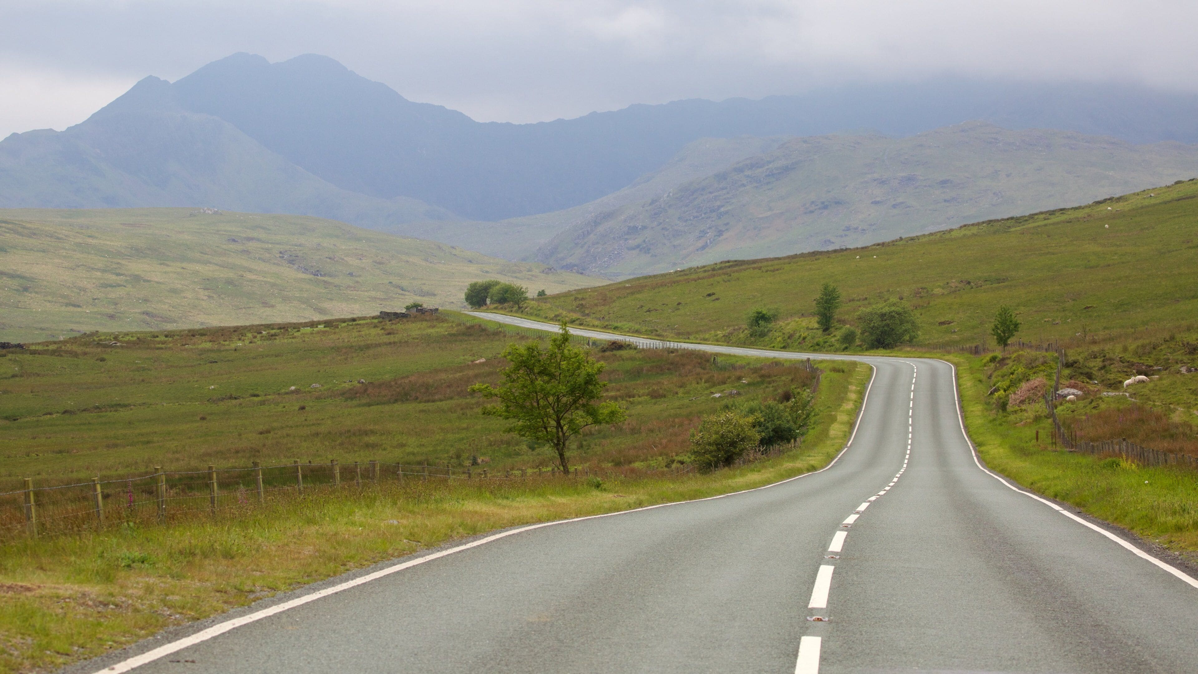 Eryri National Park showing mist or fog and farmland