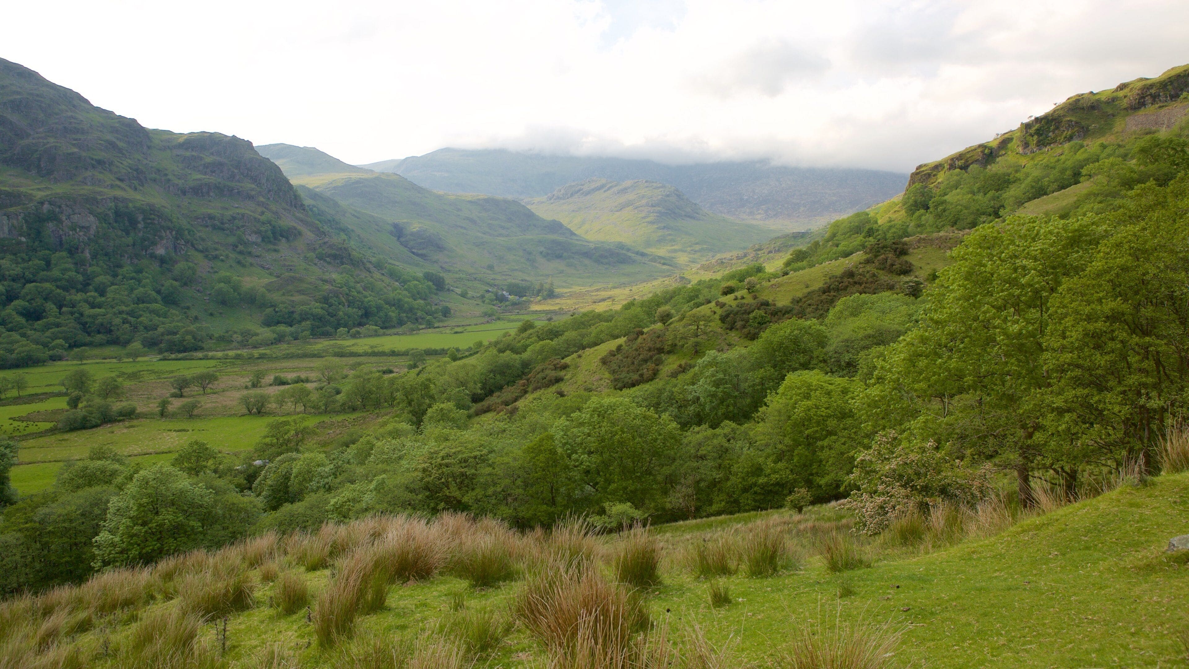 Snowdonia National Park which includes mountains and tranquil scenes