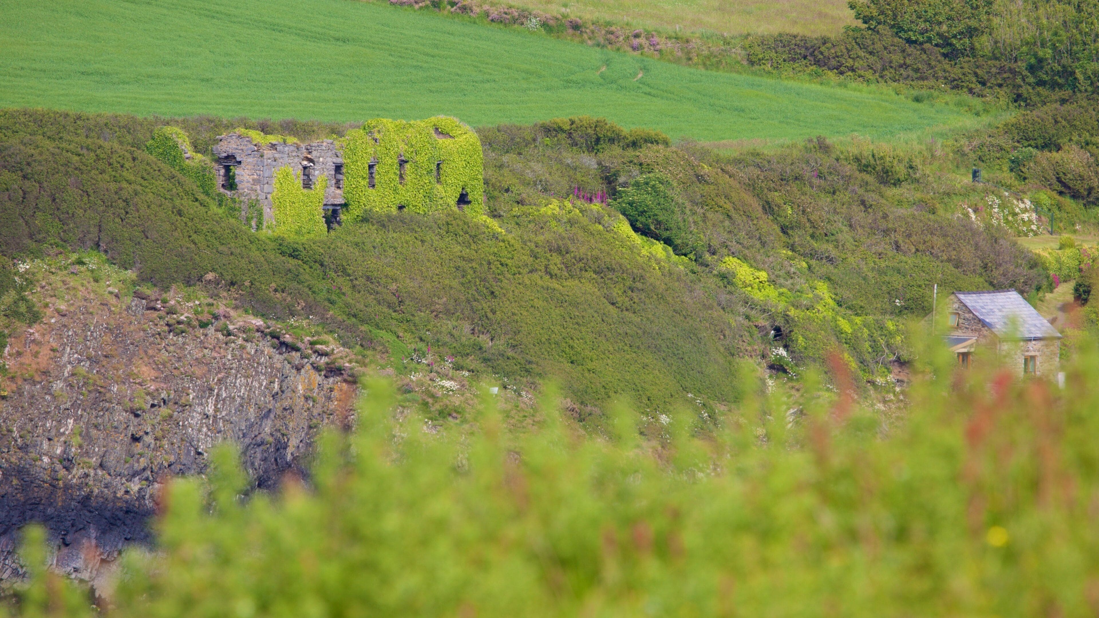 Pembrokeshire Coast National Park qui includes ferme