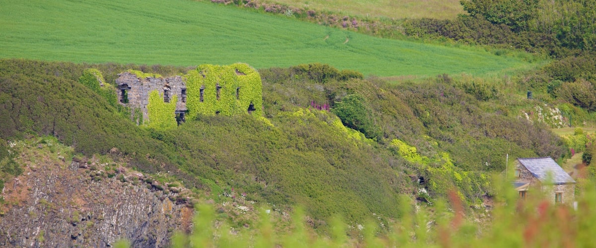 Pembrokeshire Coast National Park showing farmland