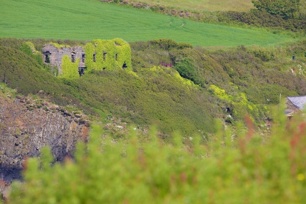 Parco Nazionale della Costa del Pembrokeshire mostrando terreno coltivato
