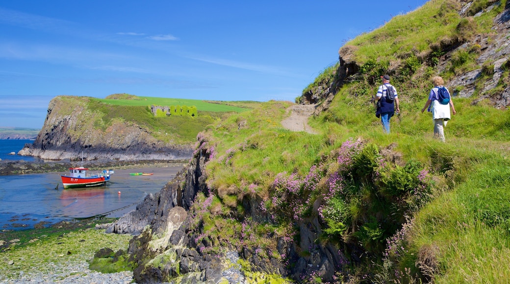 Parco Nazionale della Costa del Pembrokeshire mostrando vista della costa e escursioni o camminate