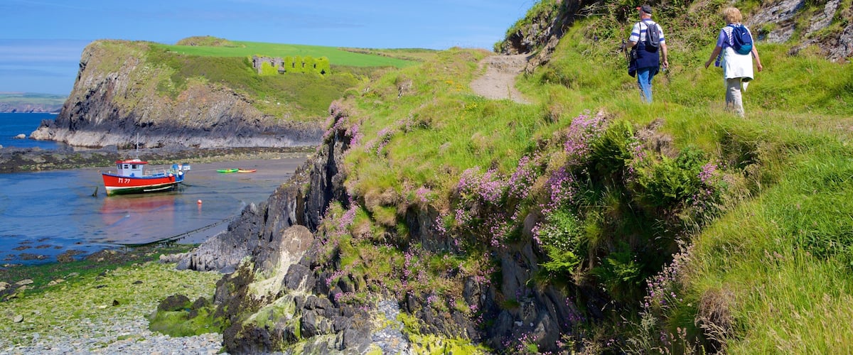 Pembrokeshire Coast National Park which includes hiking or walking and general coastal views