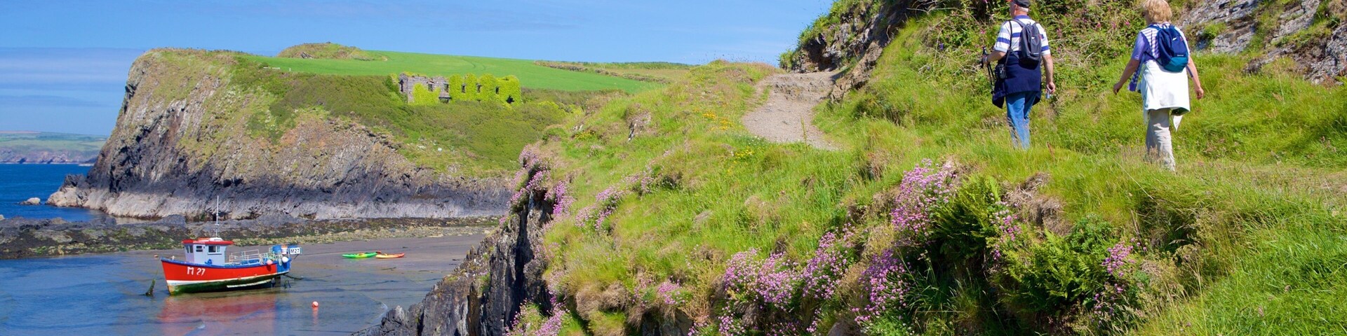 Pembrokeshire Coast National Park showing general coastal views and hiking or walking