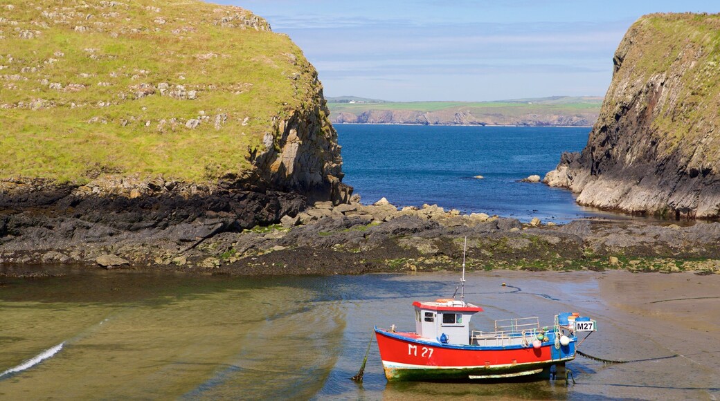 Parco Nazionale della Costa del Pembrokeshire caratteristiche di vista della costa, giro in barca e spiaggia