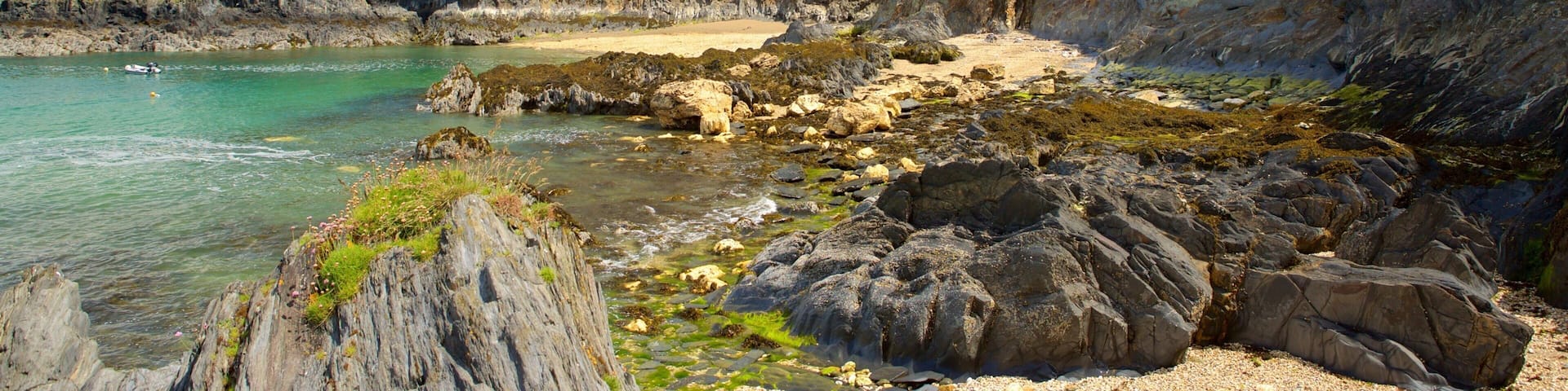 A rocky beach with clear turquoise water, a sandy shore, and lush green cliffs.