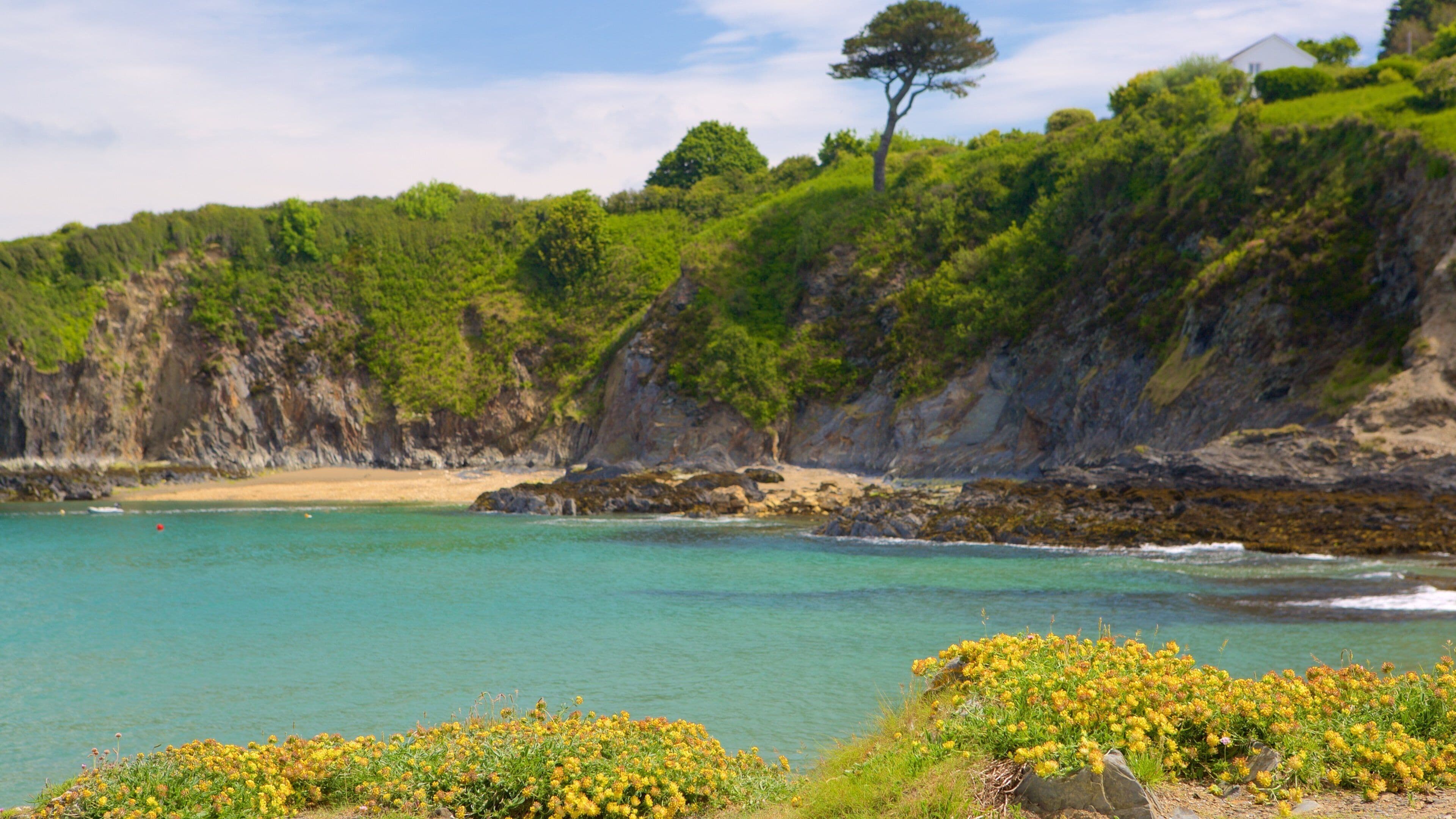 Pembrokeshire Coast National Park showing general coastal views and rocky coastline