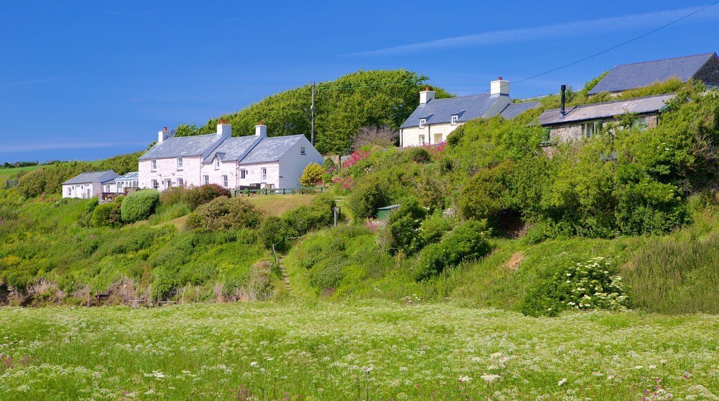 Pembrokeshire Coast nasjonalpark som inkluderer kystby og åkre
