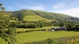 Rolling hills, green fields, a barn, and a tractor.