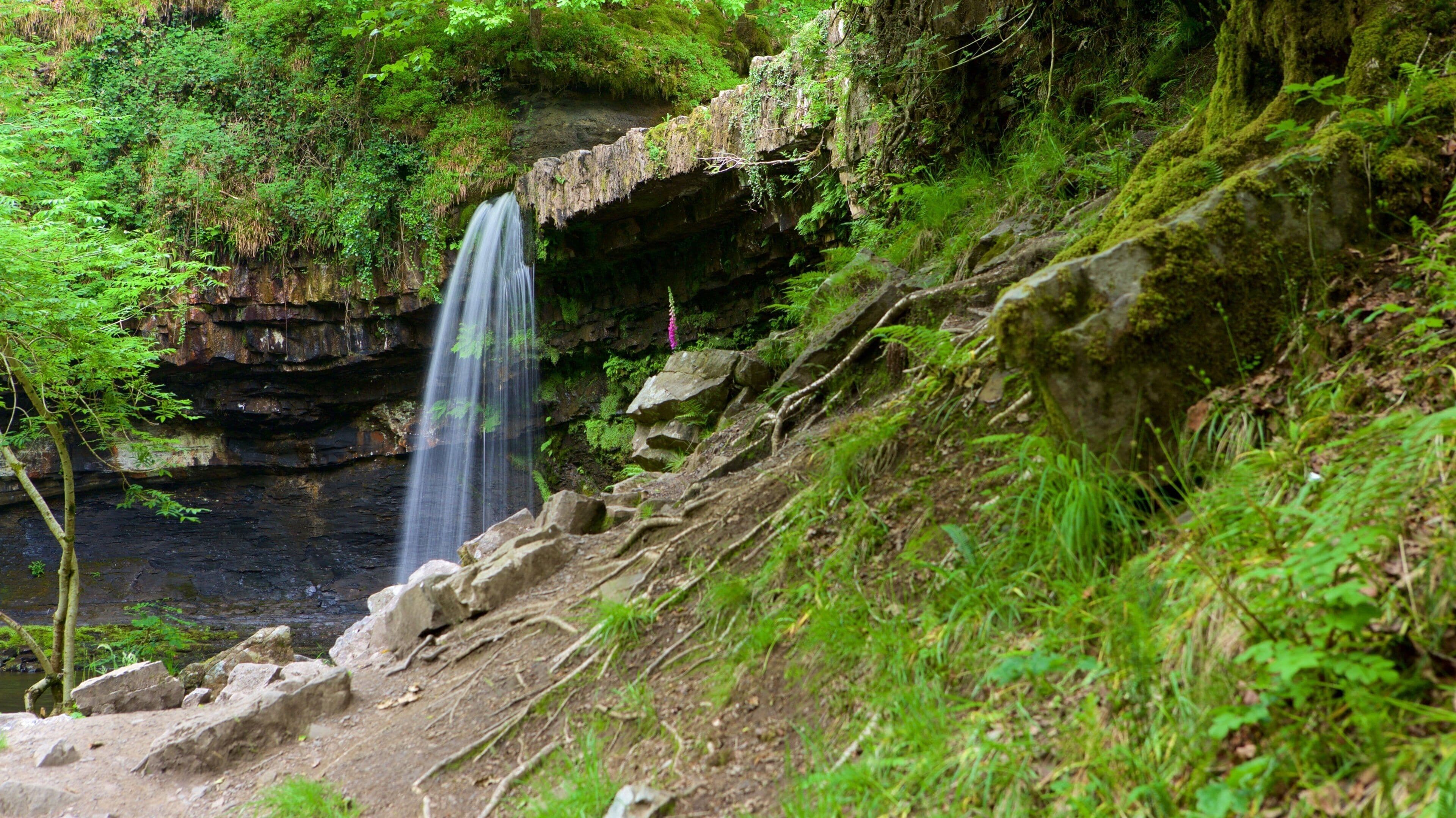 A waterfall cascading over a rocky cliff into a forested valley.
