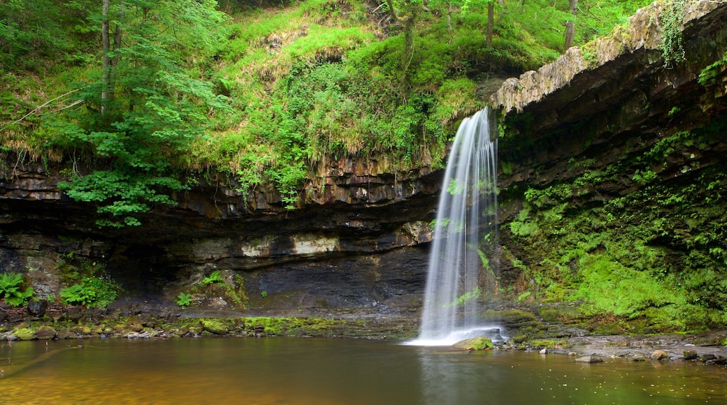 Brecon Beacons National Park showing rainforest, a waterfall and a lake or waterhole