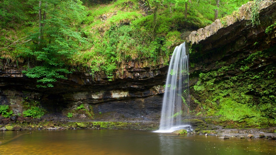 Brecon Beacons National Park which includes rainforest, a waterfall and a lake or waterhole