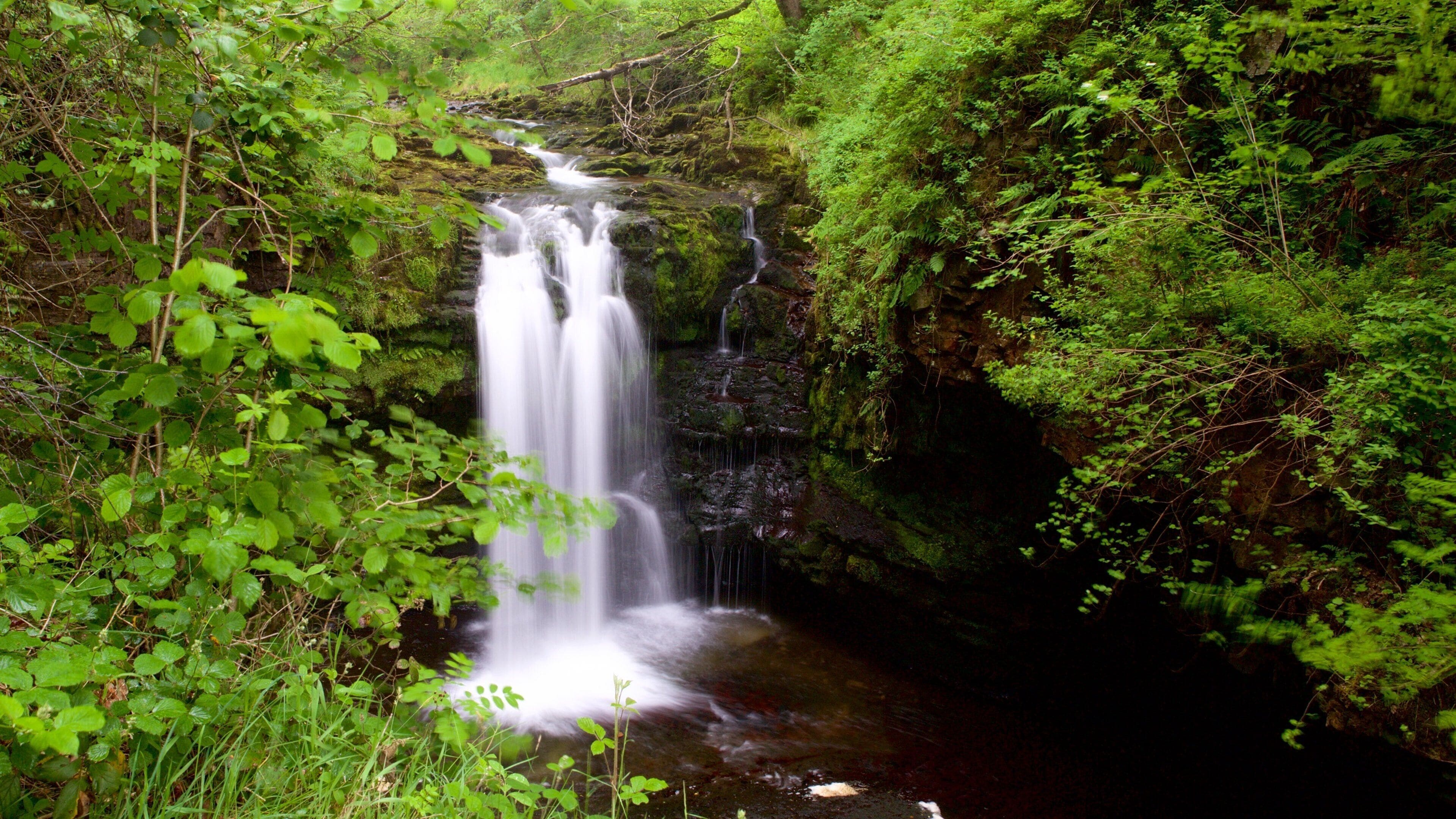 Brecon Beacons National Park which includes rainforest and a waterfall