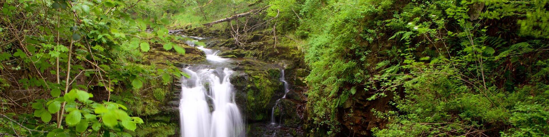 Brecon Beacons Nationalpark presenterar en kaskad och regnskog