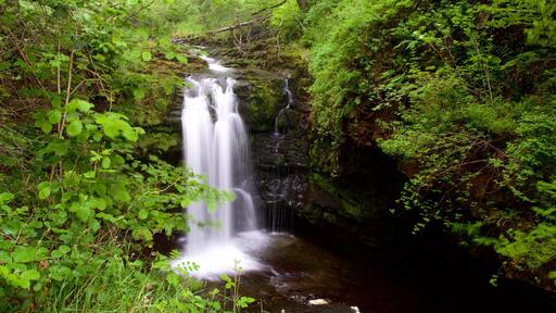 Brecon Beacons National Park which includes rainforest and a cascade