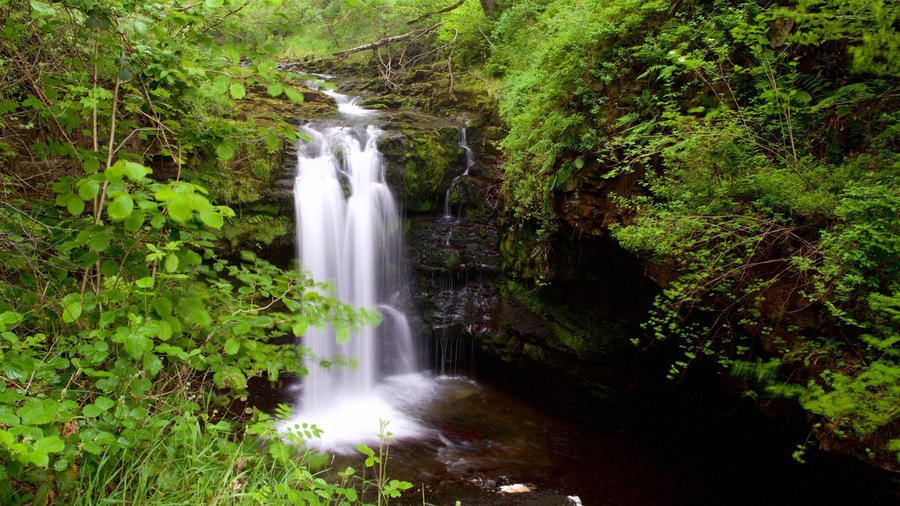 Parque Nacional Brecon Beacons que inclui floresta tropical e uma cascata
