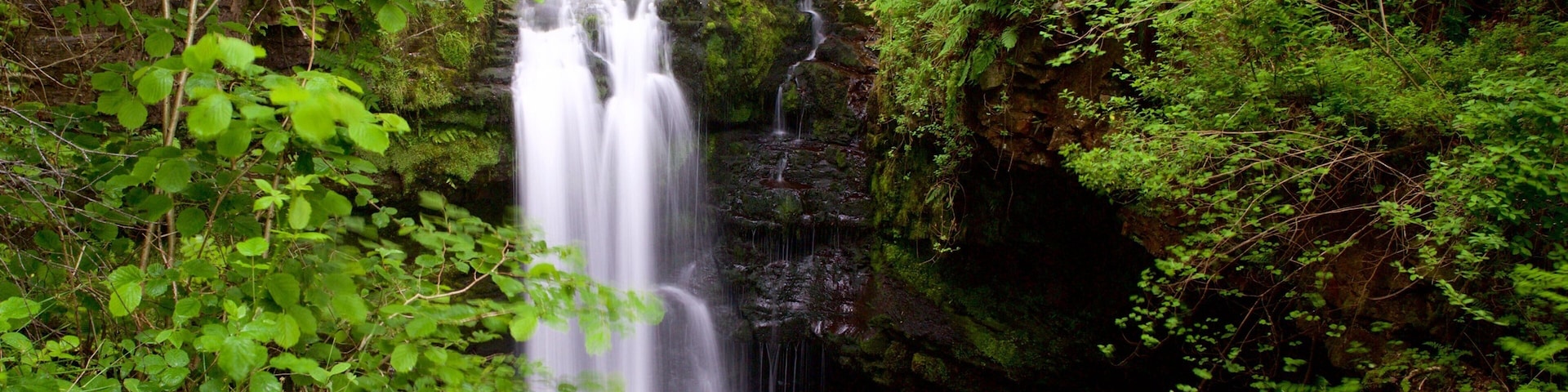 Brecon Beacons National Park which includes rainforest and a waterfall
