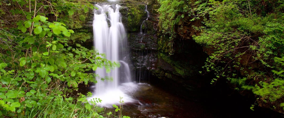 Brecon Beacons National Park which includes a waterfall and rainforest