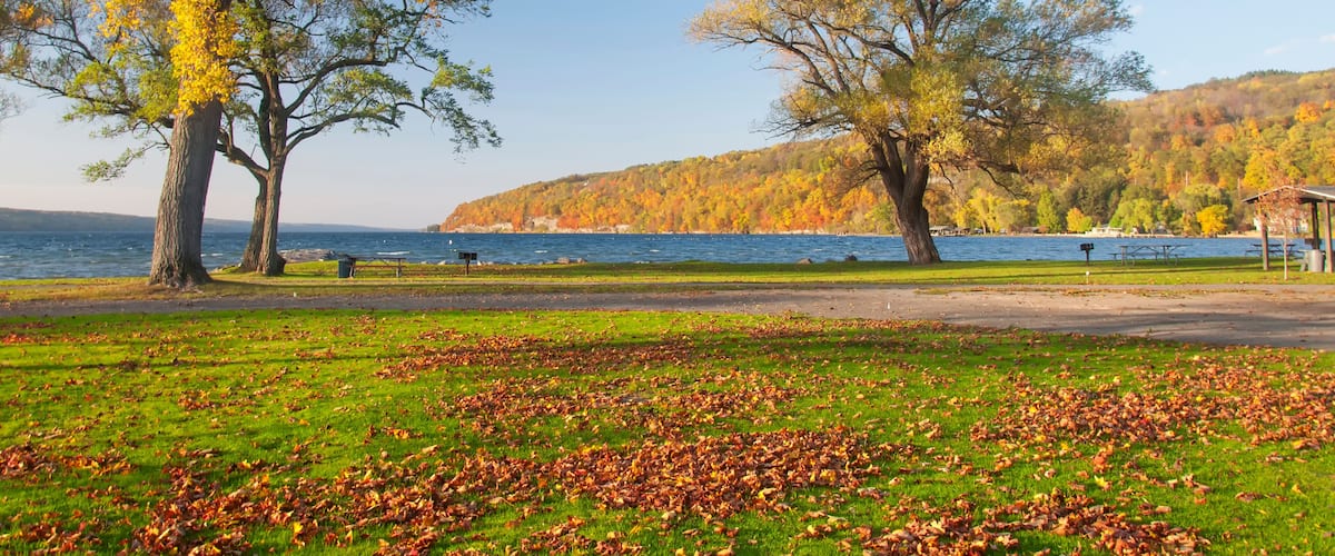 A park with two large trees, a lake, and a hilly landscape in the background.