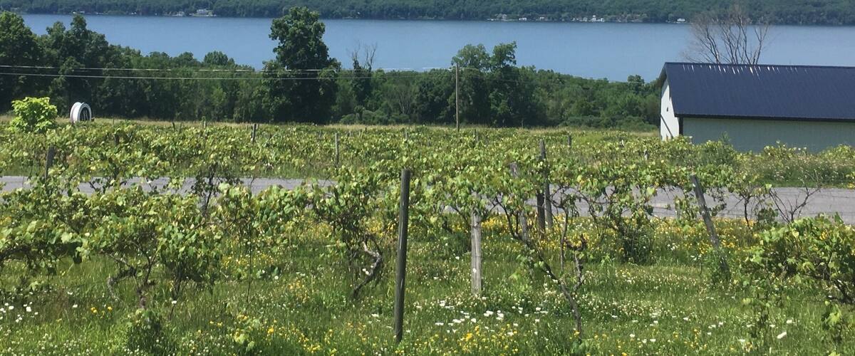 Seneca Lake from Finger Lakes Distillery