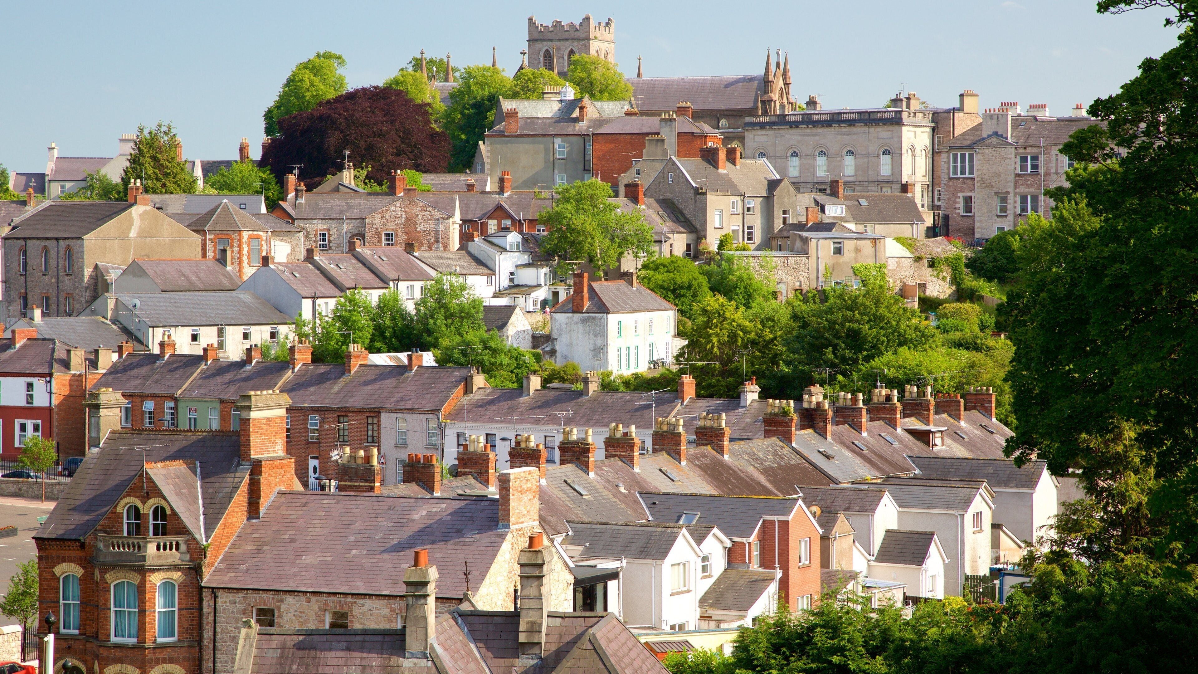 Armagh showing a city