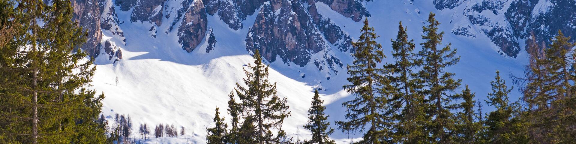 A snow-covered mountain range with sharp peaks and evergreen trees at the base.