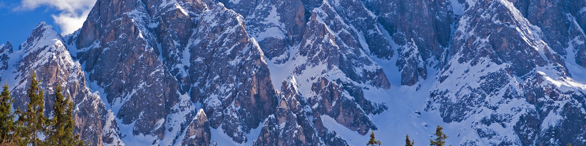 Cordillera nevada con picos escarpados y árboles de hoja perenne en la base.