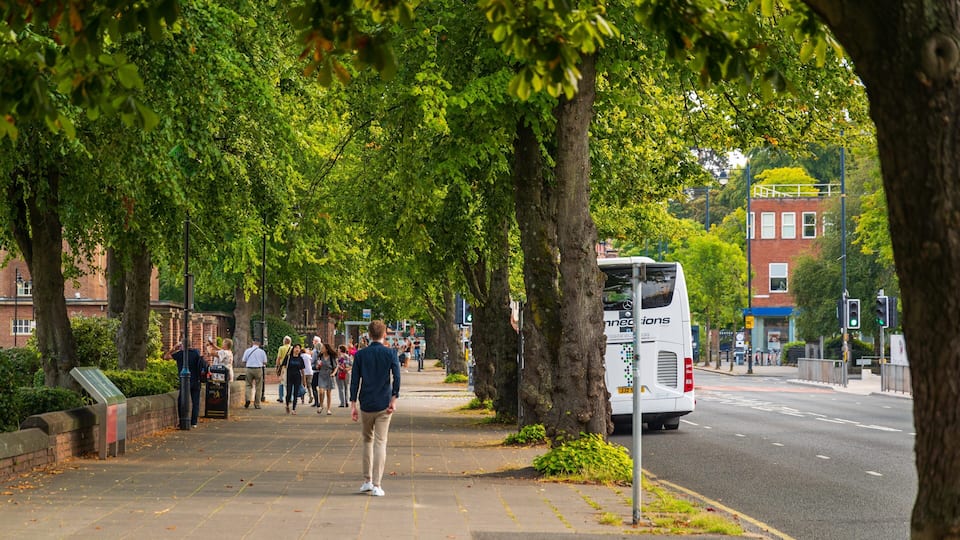 Un trottoir bordé d’arbres, avec des piétons, un autobus et des bâtiments en arrière-plan.