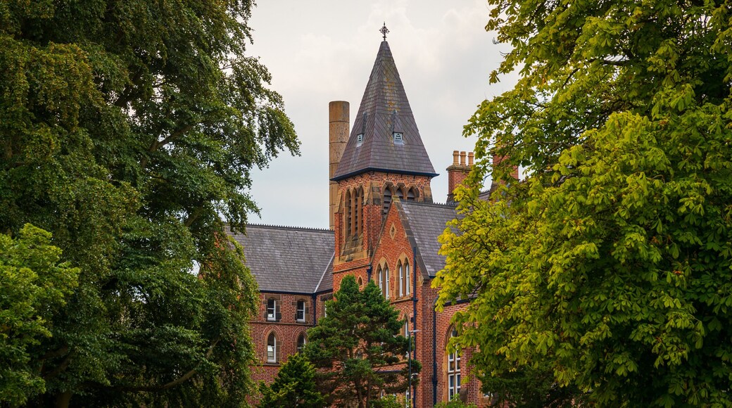 Queens Quarter featuring heritage architecture