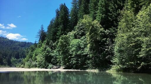Mad River near downtown Blue Lake, California