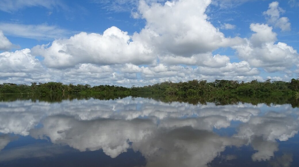 A view of the clouds and sky reflecting off the waters of the Río Frío near the Nicaraguan border.
Flip the photo over and it looks almost the same!
We booked a boat tour though anywherecostarica.com along the Río Frío in the Caño Negro wildlife area.
Absolutely worth it! They pick you up right at your hotel, take you to the boat, spend a couple hours on the river spotting wildlife, provide lunch and drop you back off at your hotel.
