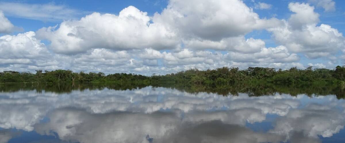 A calm lake reflecting clouds and a dense forest in the background.
