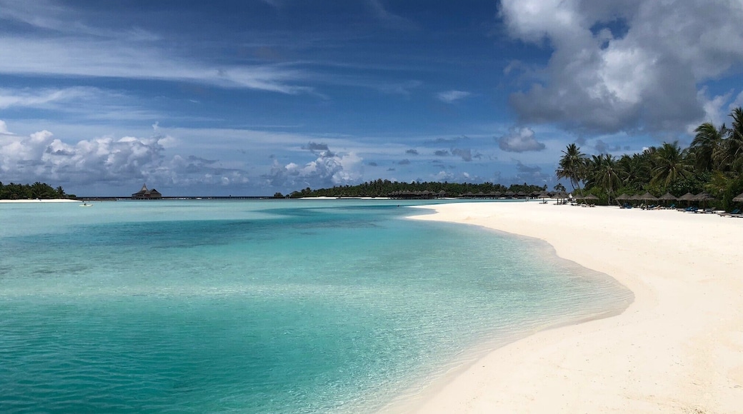 Absolute parade on the Dhigu island in Maldives. This is the most beautiful beach I've seen in my life even after visiting 65 countries.
#lifeatexpedia #beaches #Maldives