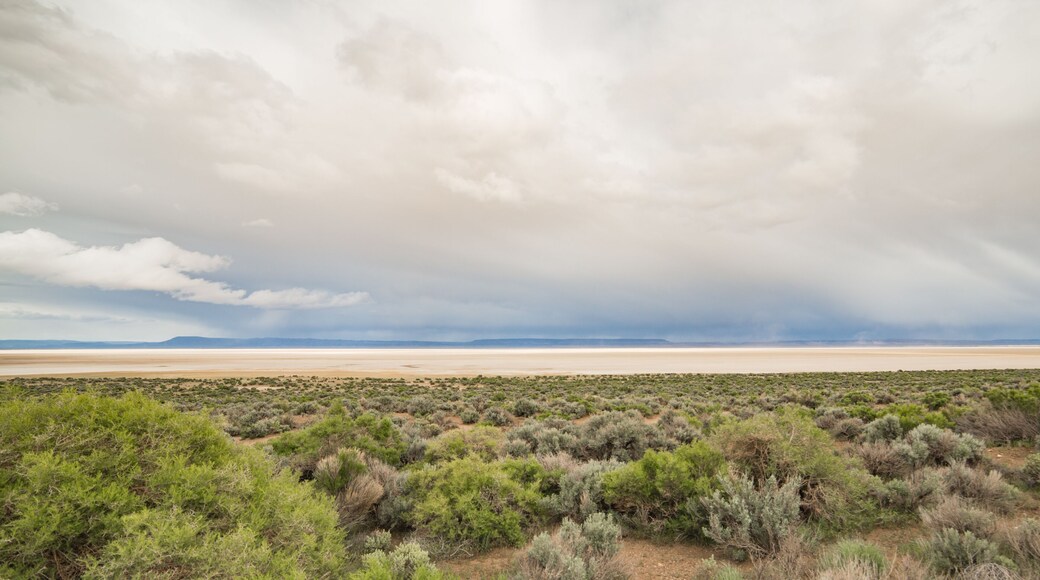Alvord Desert Playa and Steens Mountain Range