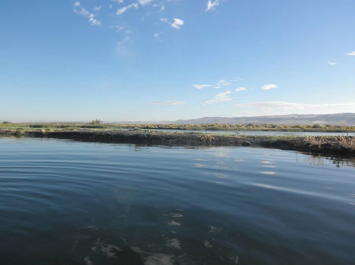 This place is kind of in the middle of nowhere, but it's an incredibly relaxing area to escape to when you just need a break from it all. Reserve the teepee and indulge in your own hot springs-fed private vintage washbasin. 