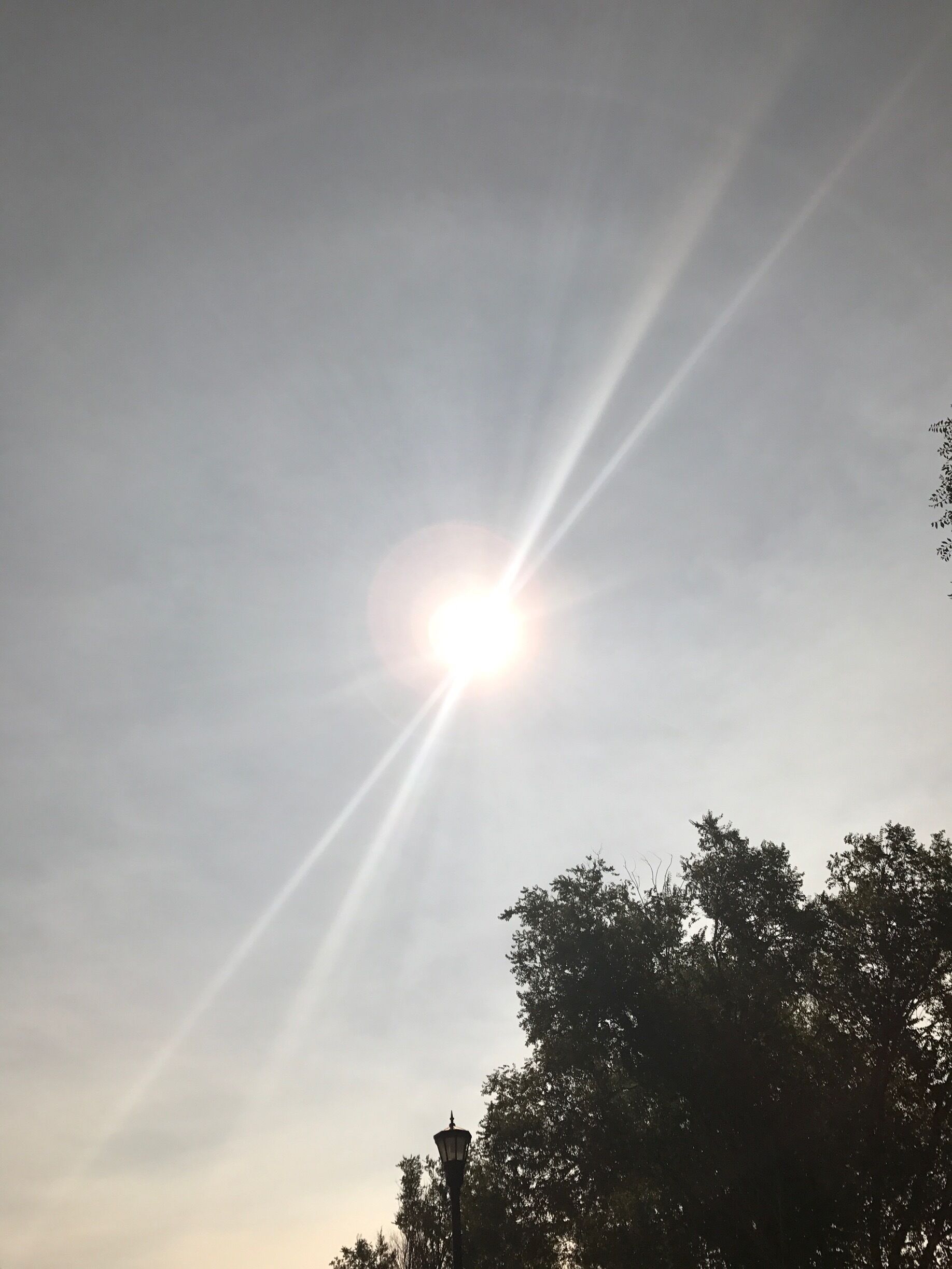 This was a trail head located in Madras OR that also served as a community homeless camp. We watched the 2017 Total Eclipse of the Sun alongside of some very interesting folks. Everyone got along famously, and good food was shared with all. 