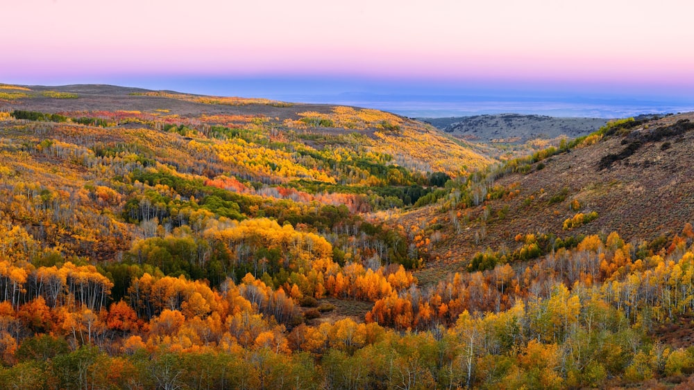 Autumn in the Steens Mountain,
