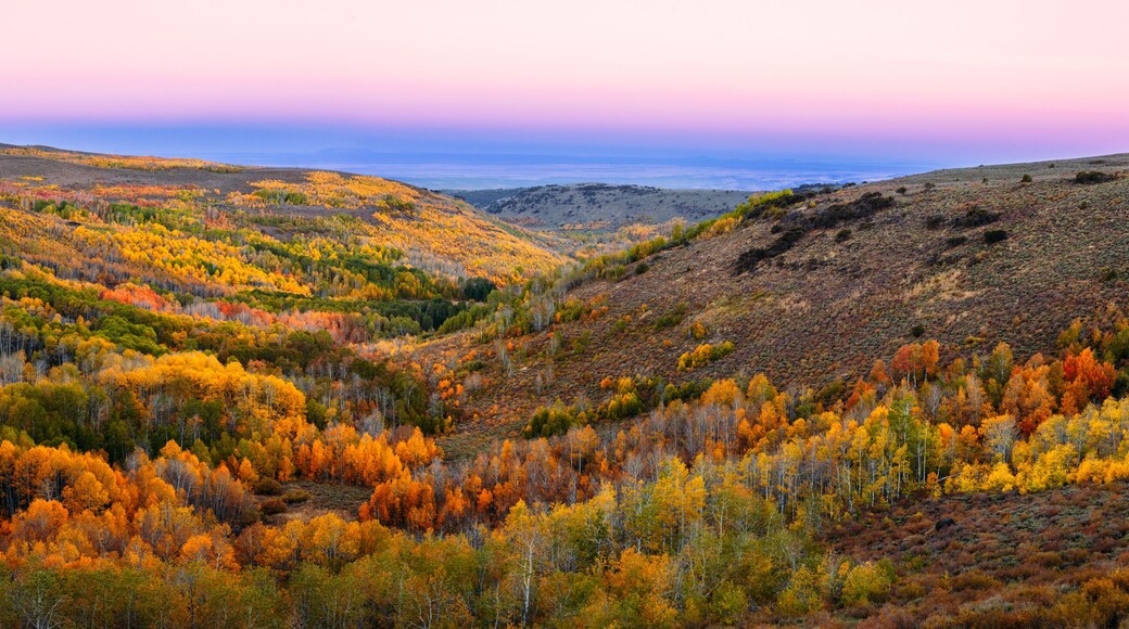 Autumn in the Steens Mountain,