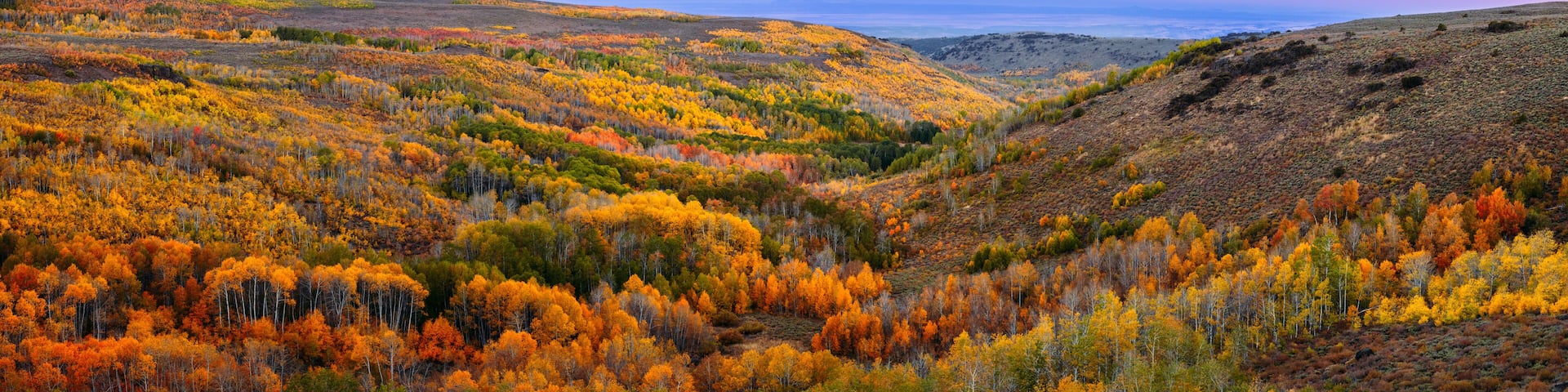 Autumn in the Steens Mountain,