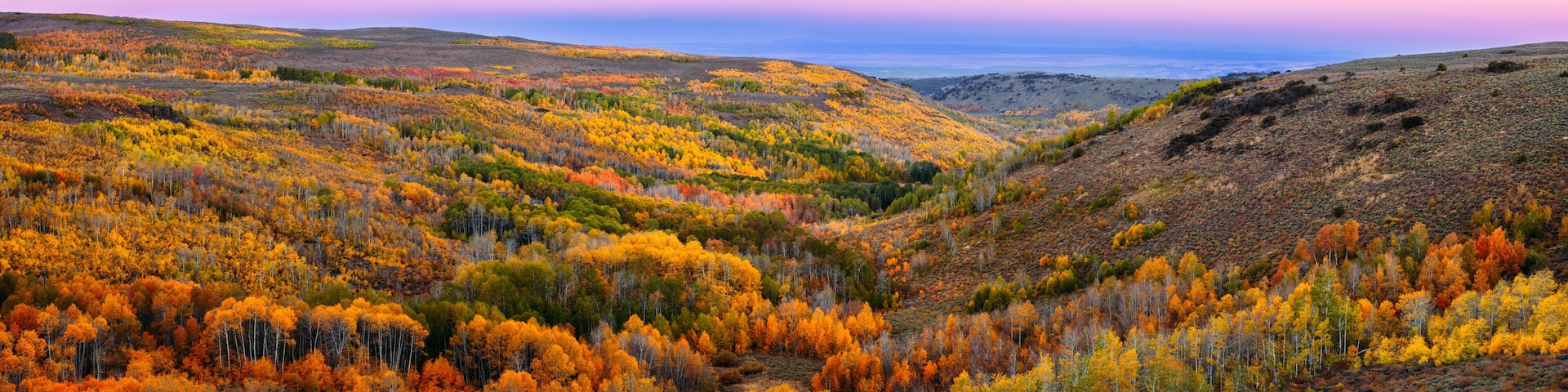 Autumn in the Steens Mountain,
