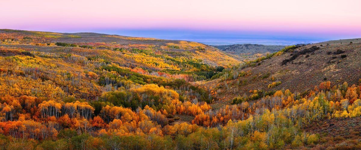 A forested valley with autumn foliage, rolling hills, and a distant view of the ocean.
