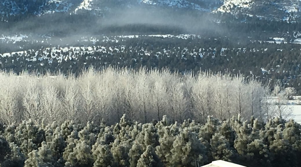 Klamath Falls, Ore. during a well received snowfall.