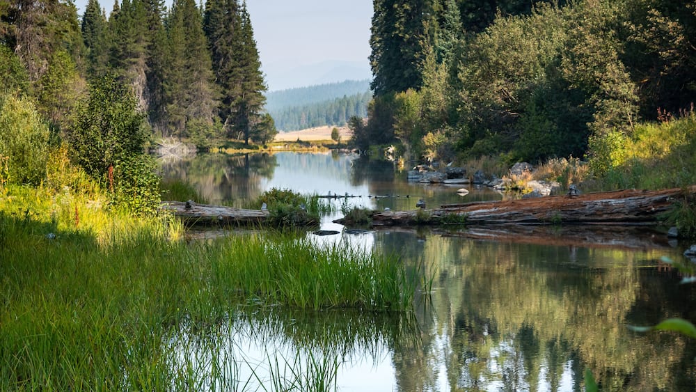 Kimball Lake, a pristine mountain lake with clear blue waters nestled in pine trees, located near Klamath Falls, Oregon, Unites States.