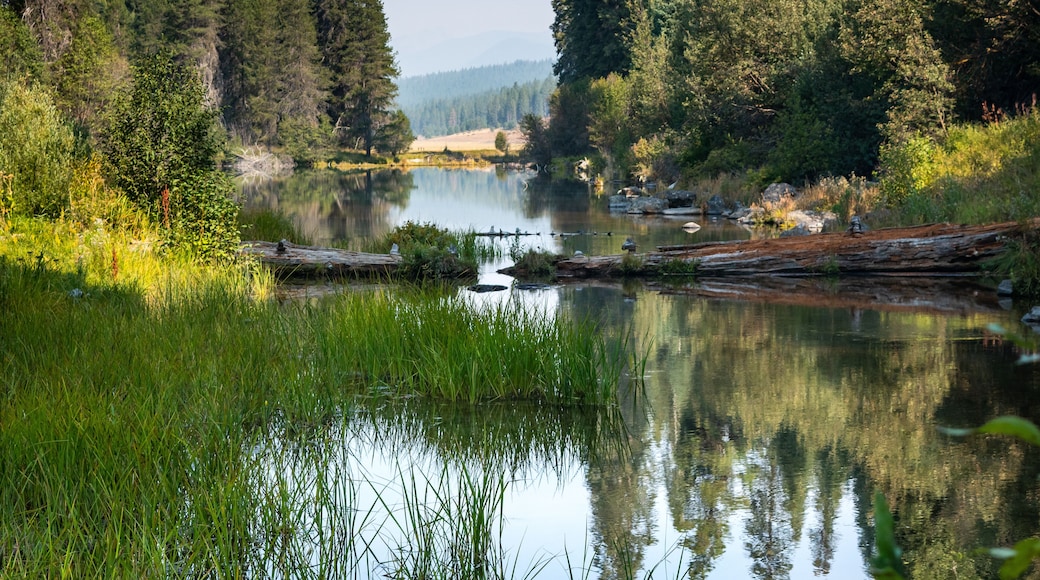 Kimball Lake, a pristine mountain lake with clear blue waters nestled in pine trees, located near Klamath Falls, Oregon, Unites States.