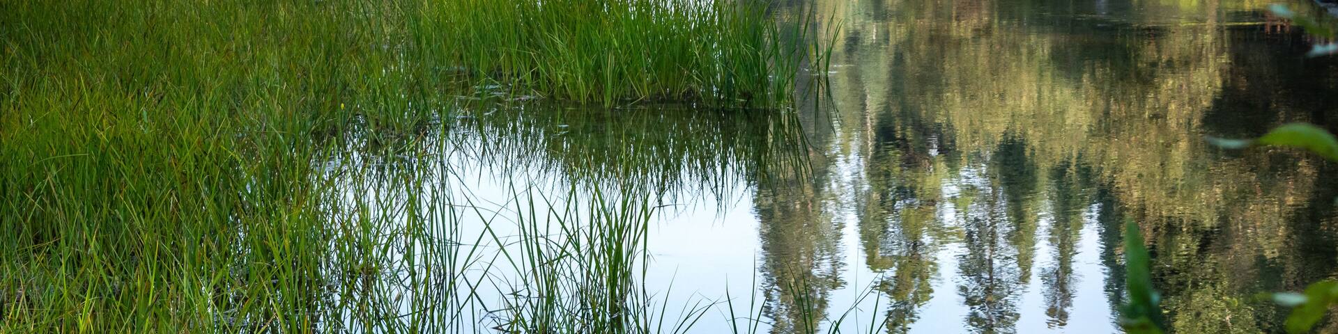 Kimball Lake, a pristine mountain lake with clear blue waters nestled in pine trees, located near Klamath Falls, Oregon, Unites States.