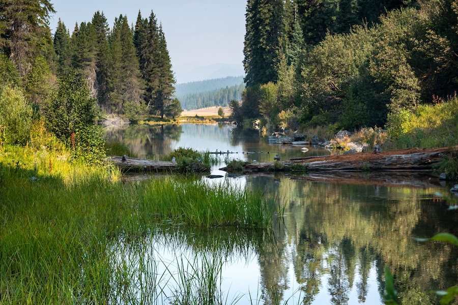 Kimball Lake, a pristine mountain lake with clear blue waters nestled in pine trees, located near Klamath Falls, Oregon, Unites States.