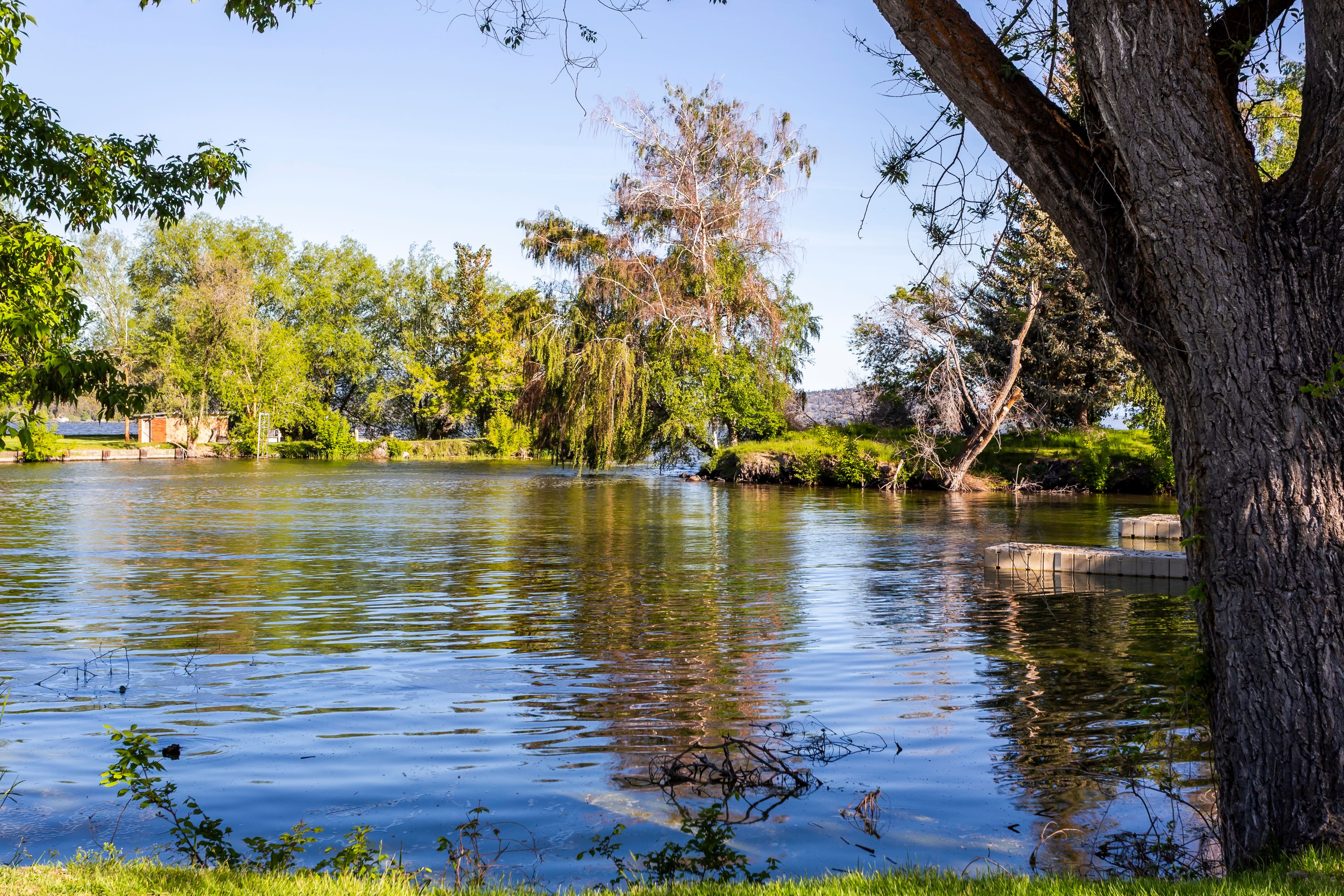 Beautiful view of the pond in Klamath Falls Moore Park, Oregon, USA