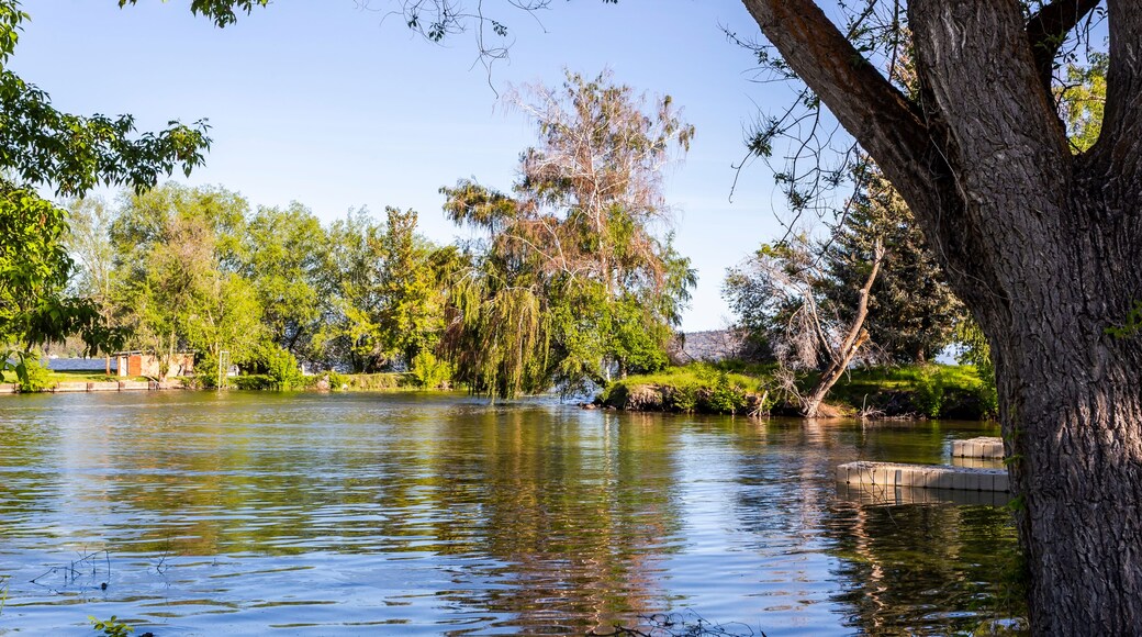 Beautiful view of the pond in Klamath Falls Moore Park, Oregon, USA